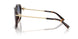 801516 - Tortoise - Light Brown Gradient Blue