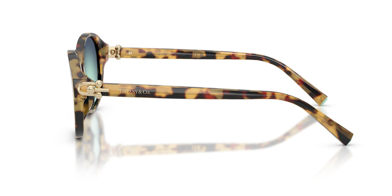 80649S - Tortoise - Gradient Blue