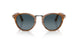960/S3 - Brown - Light Blue Grad Dlue Polar