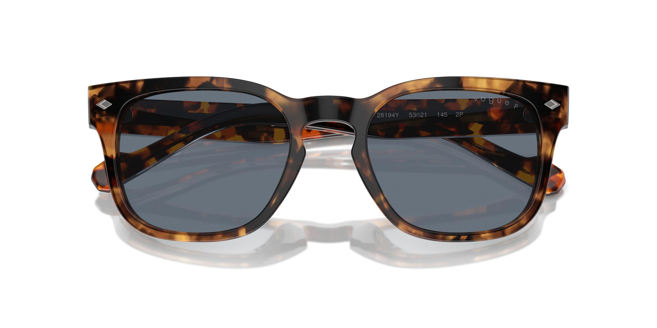 28194Y - Tortoise - Blue Polarized