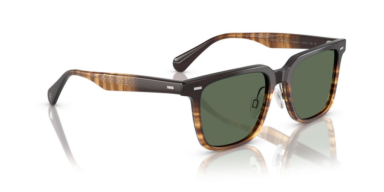 13929A - Brown - G-15 Polarized