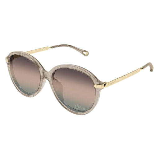 005 - Brown/Gold - Bronze