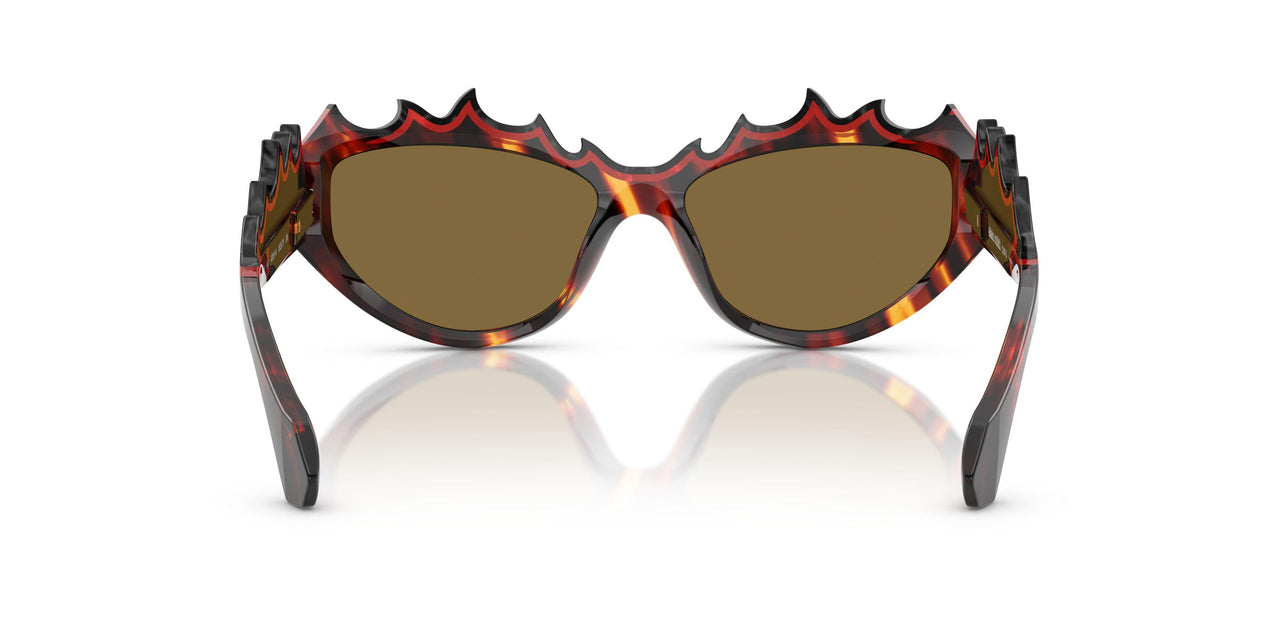 003/73 - Tortoise - Brown