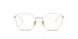 5209 - White