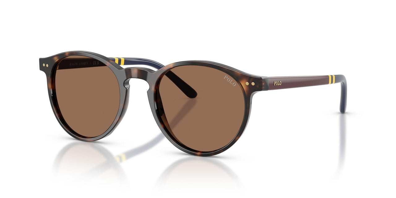 500373 - Tortoise - Brown