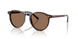 500373 - Tortoise - Brown