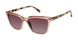 Ted Baker TWS208 Sunglasses