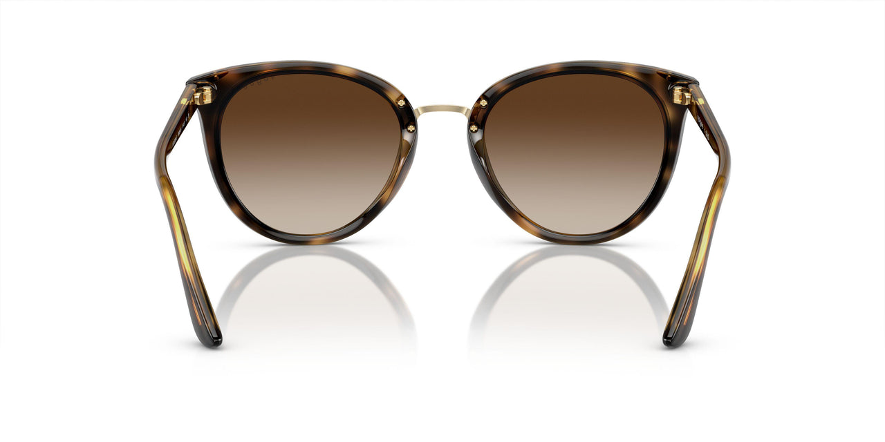 W65613 - Brown Gradient