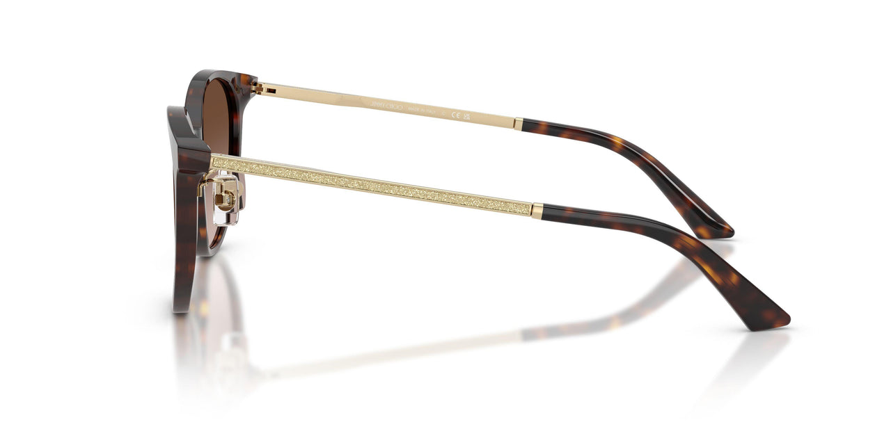 500213 - Tortoise - Gradient Brown
