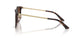 500213 - Tortoise - Gradient Brown