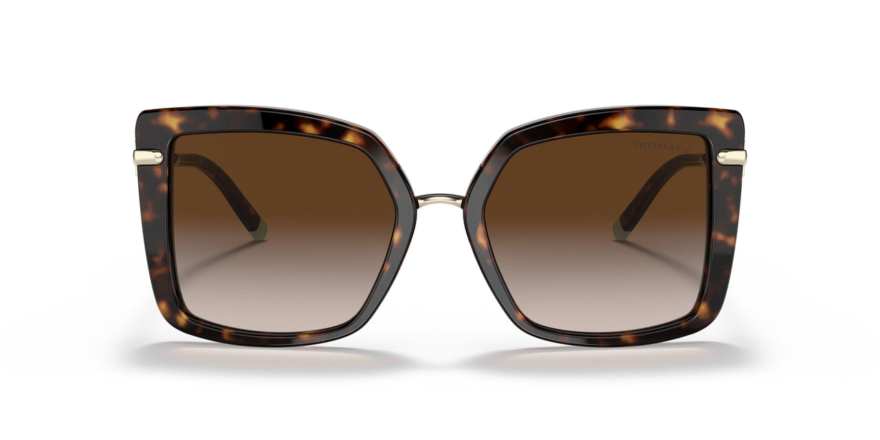 80153B - Havana - Gradient Brown