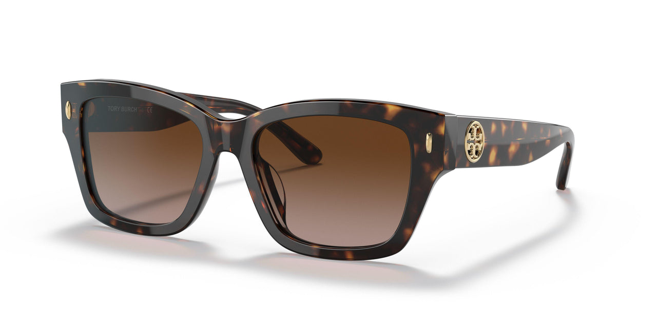 172813 - Havana - Brown Gradient