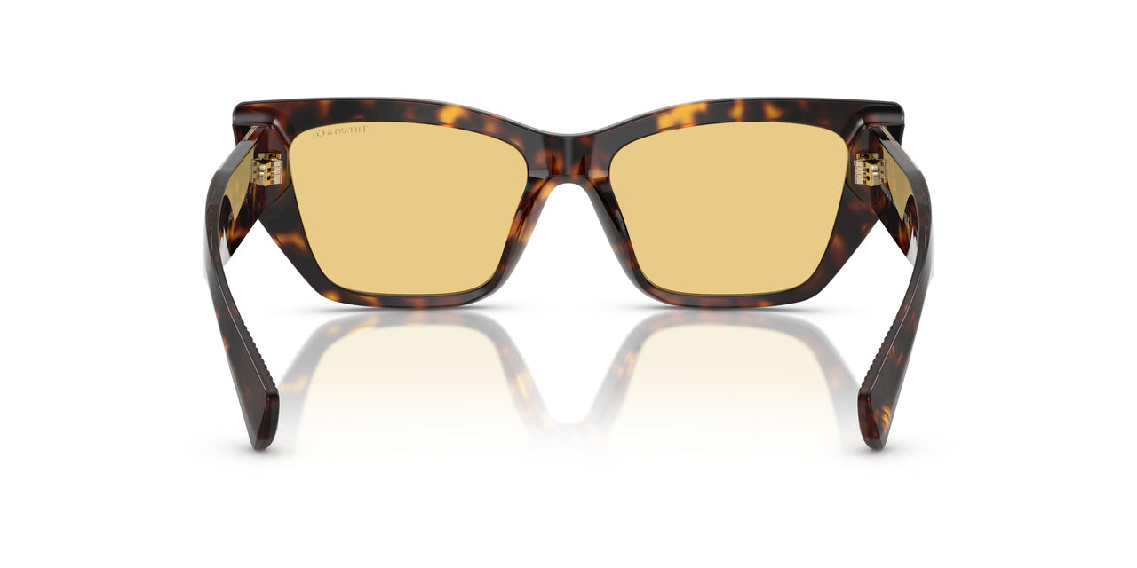 8015/7 - Tortoise - Orange