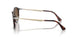 24/57 - Havana - Polar Brown