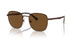 114857 - Brown - Polar Brown