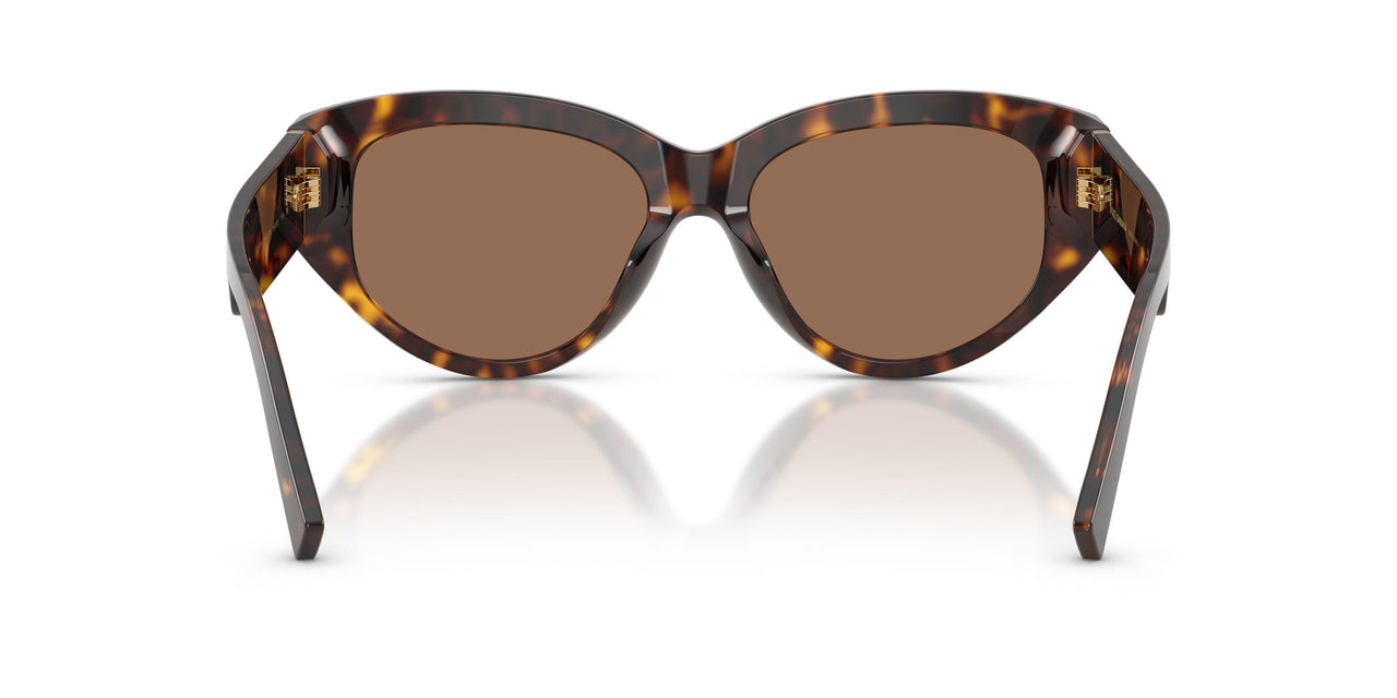502/73 - Tortoise - Dark Brown