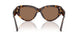 502/73 - Tortoise - Dark Brown