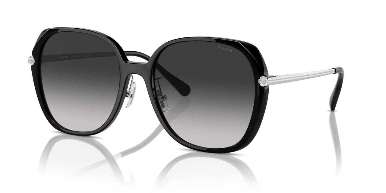 50023C - Black - Grey Gradient