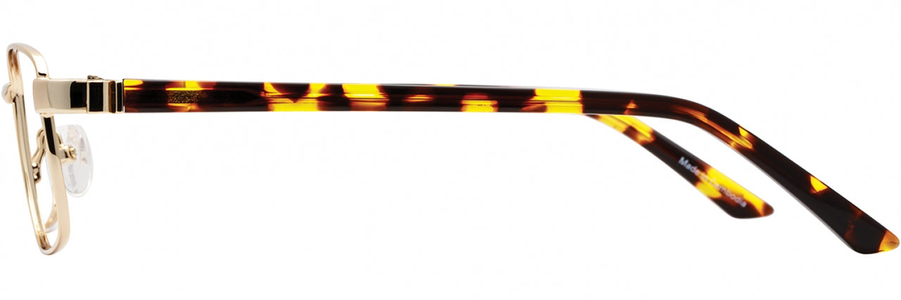 3 - Gold / Tortoise