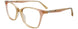 10 - Transparent Beige & Glitter