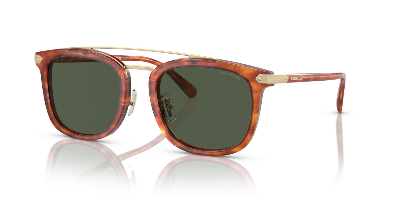 577482 - Tortoise - Army Green