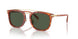 577482 - Tortoise - Army Green
