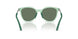 628182 - Green - Dark Green