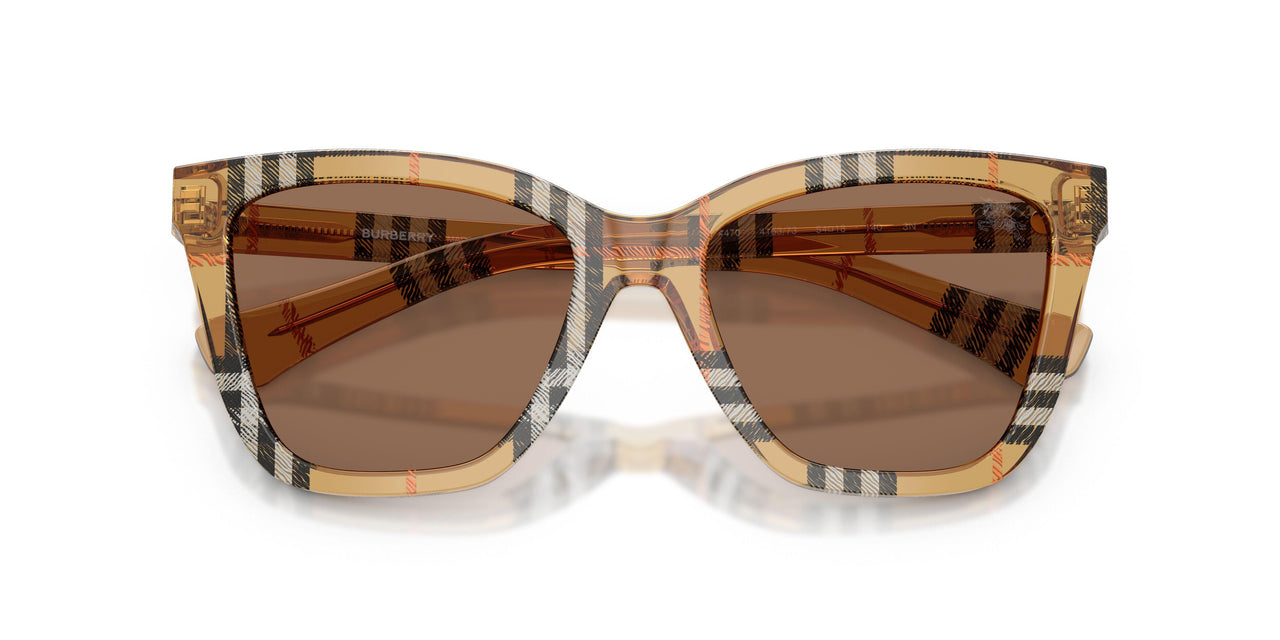 416373 - Brown - Dark Brown