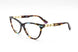 X8Q - BROWN BLUE HAVANA