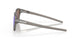926532 - Grey - Prizm Sapphire Polarized