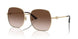 300613 - Gold - Gradient Brown