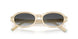 8431T3 - Beige - Polarized Grey Gradient
