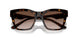 502/13 - Havana - Gradient Brown