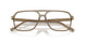 3293 - Brown