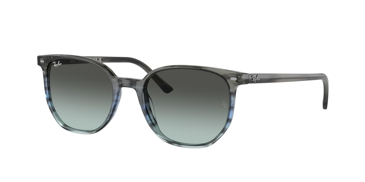 Ray-Ban Elliot 2197F Sunglasses