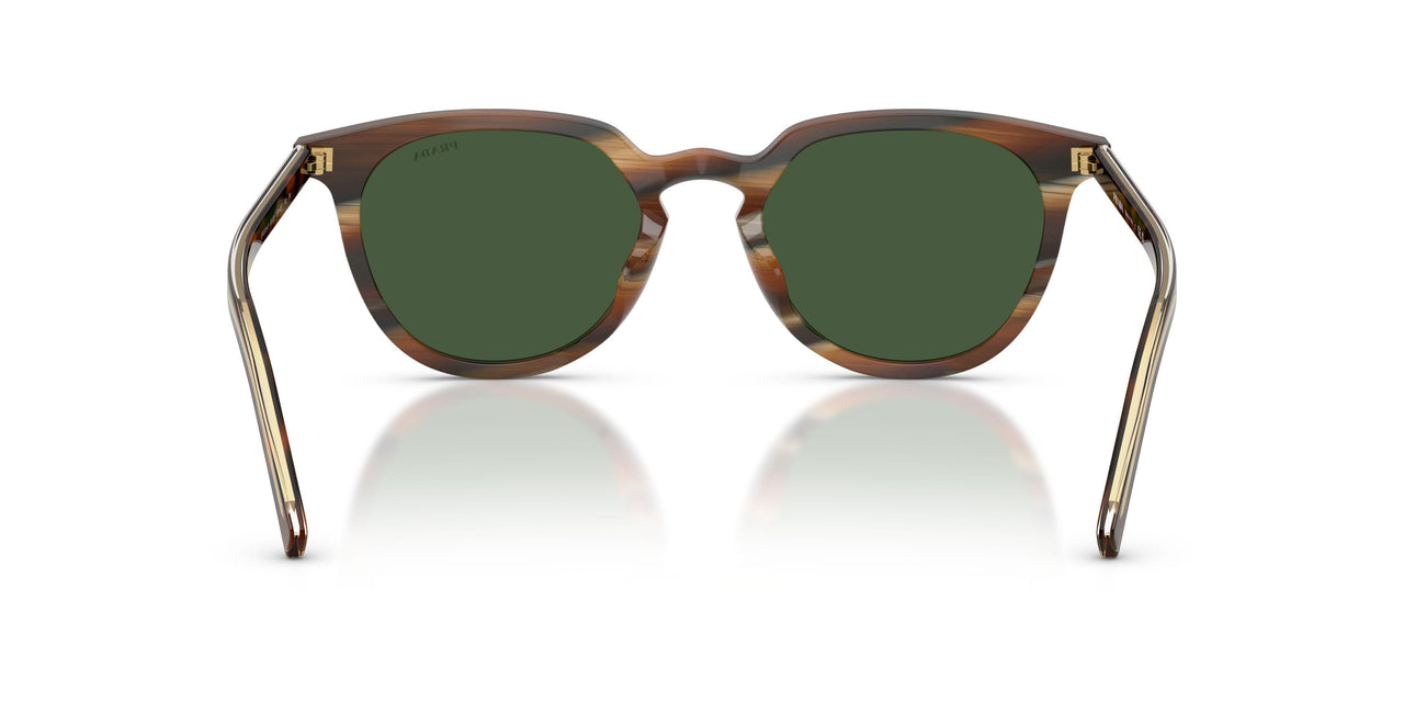 20P40P - Tortoise - Green