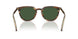 20P40P - Tortoise - Green