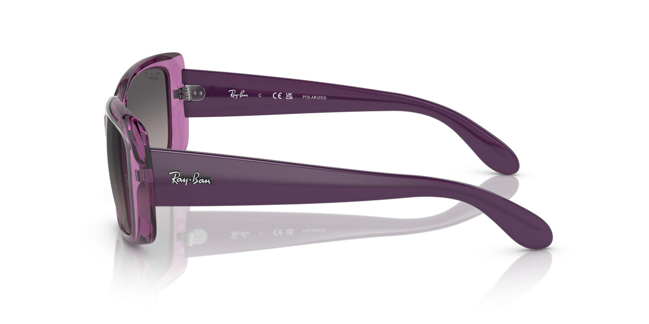 6443M3 - Violet - Grey Gradient Polar
