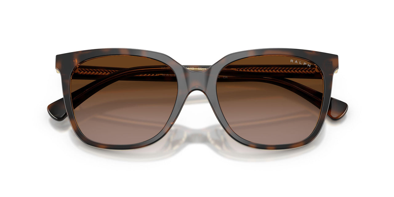 629413 - Brown - Gradient Brown