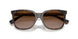 629413 - Brown - Gradient Brown