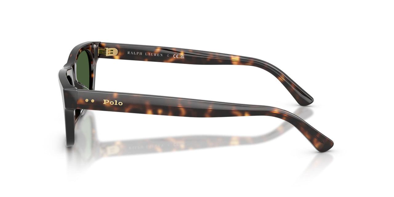 500371 - Tortoise - Dark Green