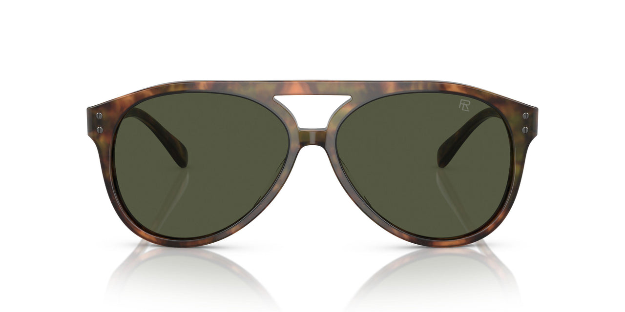 501731 - Tortoise - Green