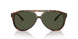 501731 - Tortoise - Green