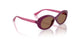 321373 - Violet - Dark Brown