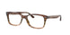 8255 - Brown - Clear