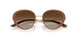 344113 - Brown - Brown Gradient
