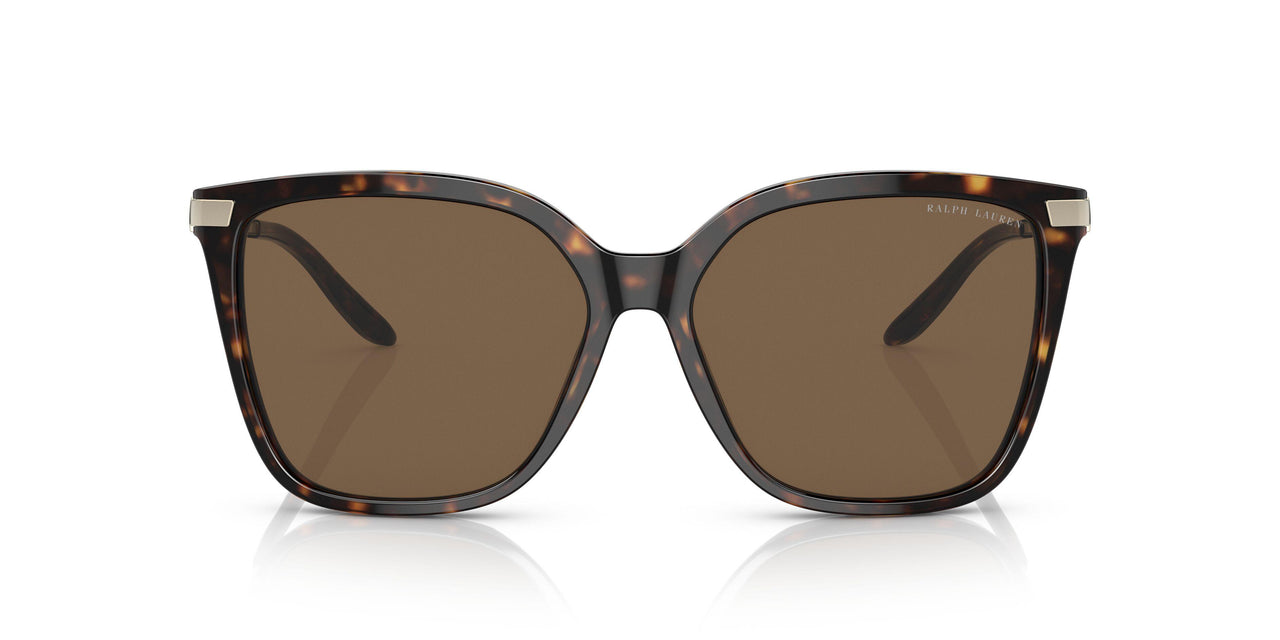 500373 - Havana - Dark Brown