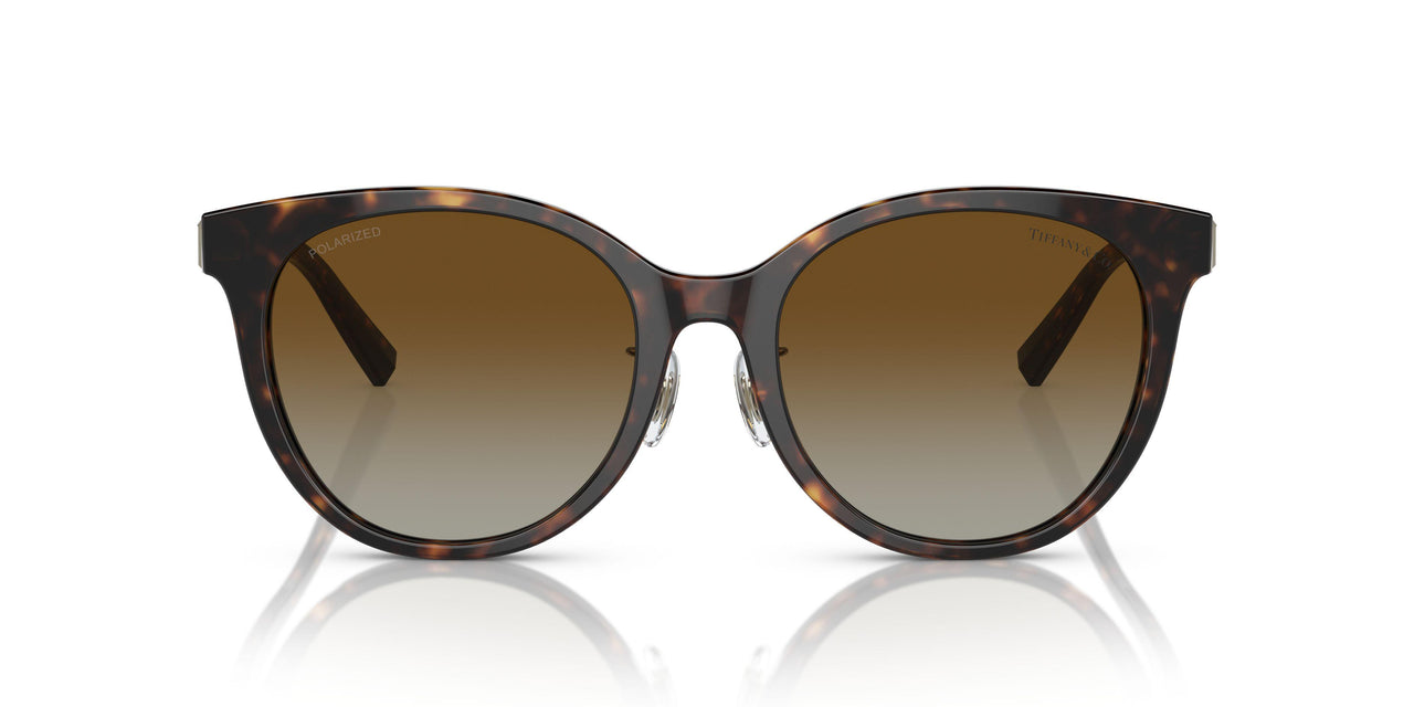 8015T5 - Tortoise - Polar Brown Gradient