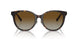 8015T5 - Tortoise - Polar Brown Gradient