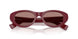 25R60B - Red - Light Brown